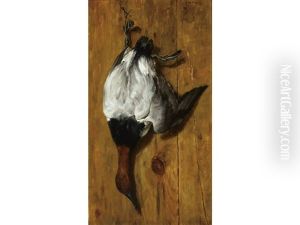 Nature Morte Canvasback Drake by John Martin Tracy