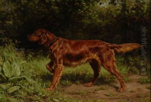 Irish Setter On Point