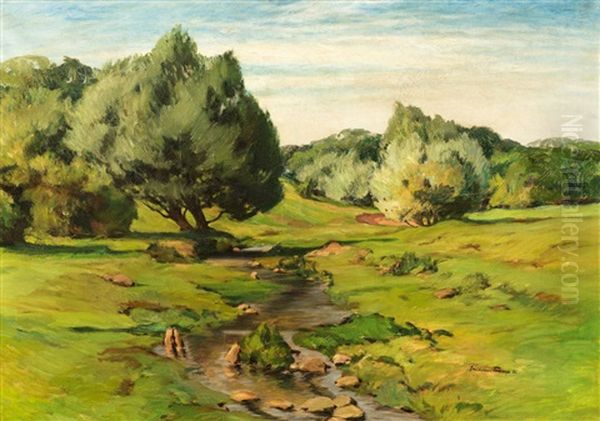 Landschaft Am Niederrhein Mit Bachlauf - view 1