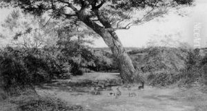 The Forest Oak by Francis M. Trappes