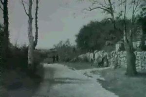 A Country Lane A Country Lane