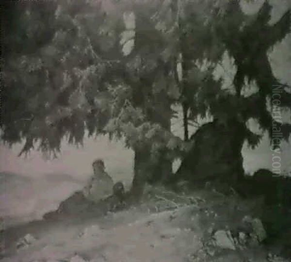 Bergtanne - view 1