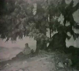 Bergtanne Bergtanne