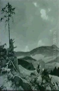 Im Schwarzwald
