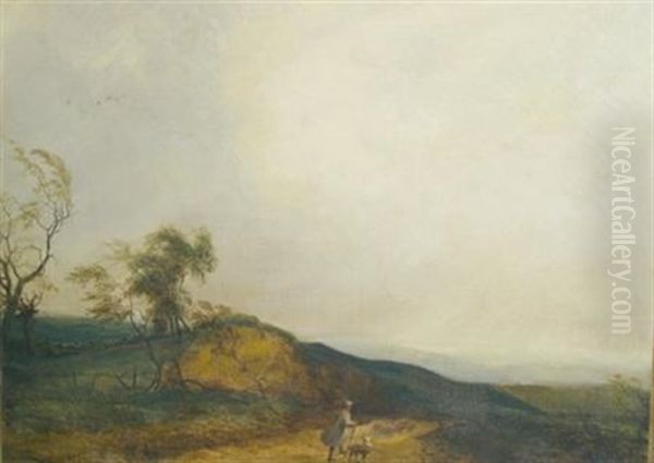 Driving Sheep Along A Country Road - view 1