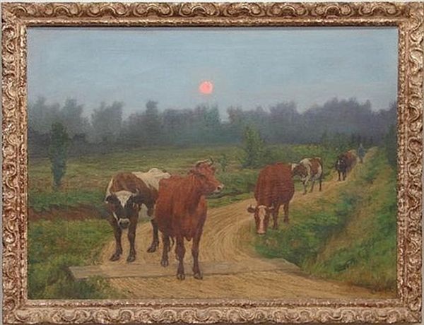 Cows Walking Home At Sunset - view 1