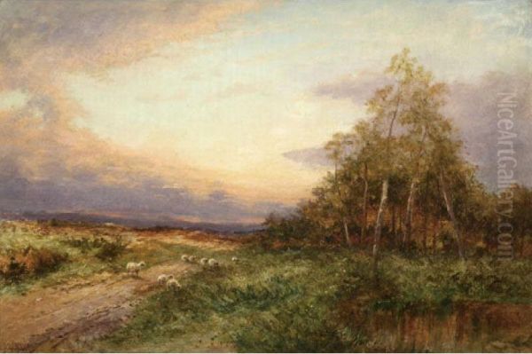 Landscape With Sheep At Sunset - view 1