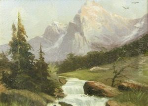 Oltului River by Henri Trenk