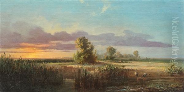 Scenery With Birds At Sunset - view 1