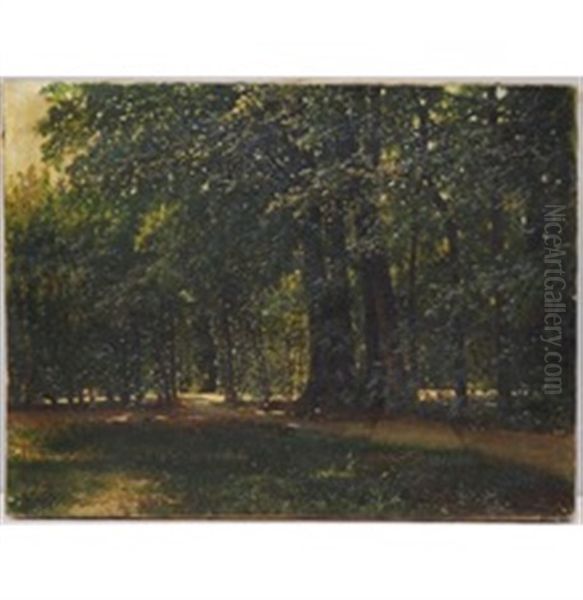 Stradina Nel Bosco - view 1