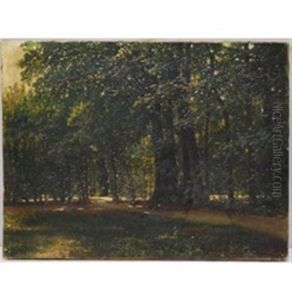 Stradina Nel Bosco Stradina Nel Bosco