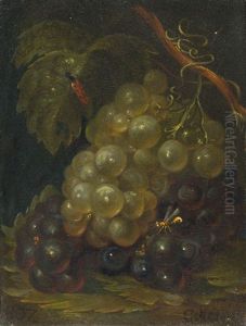 Fruchtestillleben Mit Hellen Und Dunklen Trauben by Catharina Treu