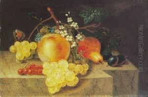 Fruchtestilleben Mit Hellen Trauben (+ Fruchtestilleben Mit Dunklen Trauben; Pair) by Catharina Treu