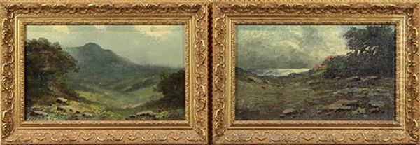 California Coast And Hills In The Clearing - view 1