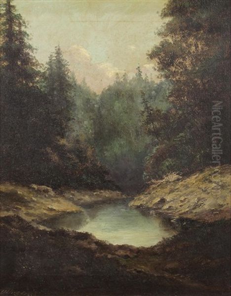 Hidden In The Woods - view 1