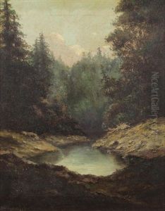 Hidden In The Woods by Richard de Treville