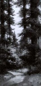 Path Through The Redwoods, Mt. Tamalpais by Richard de Treville