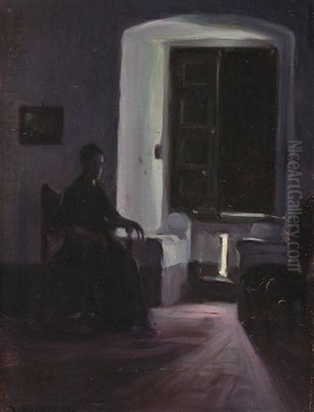 Interior En Penumbra - view 1