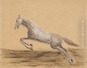 Springendes Pferd by Adalbert Trillhaase