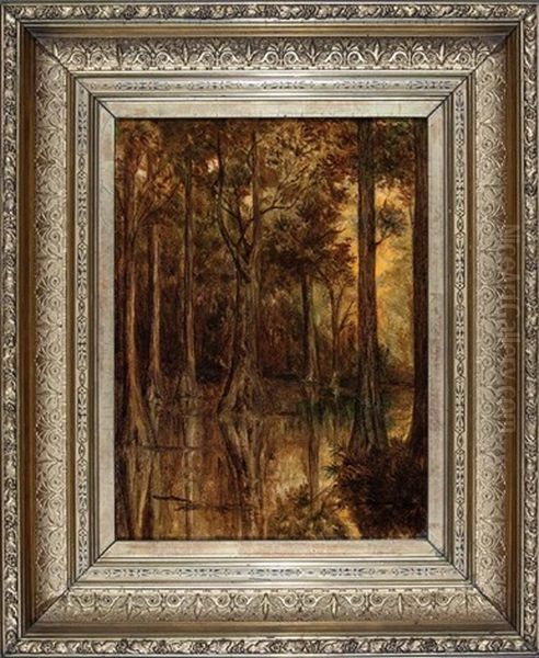 Cypress Trees, Louisiana Bayou - view 1