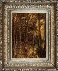 Cypress Trees, Louisiana Bayou