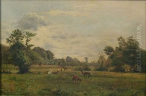 Paysage Anime D'une Harde De Cerfs Et De Biches