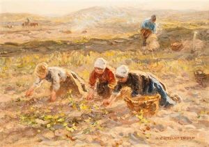 Harvesting Girls Harvesting Girls