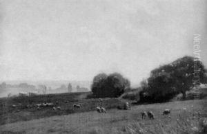 Landschaft Mit Schafherde by Antony Troncet