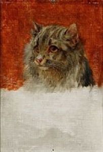 A Cat