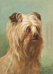 A Yorkshire Terrier