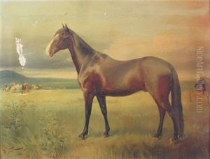 Portrait Of Pampa, Argentina