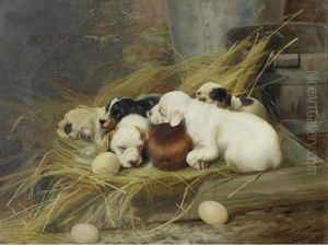 Sweet Slumber Sweet Slumber