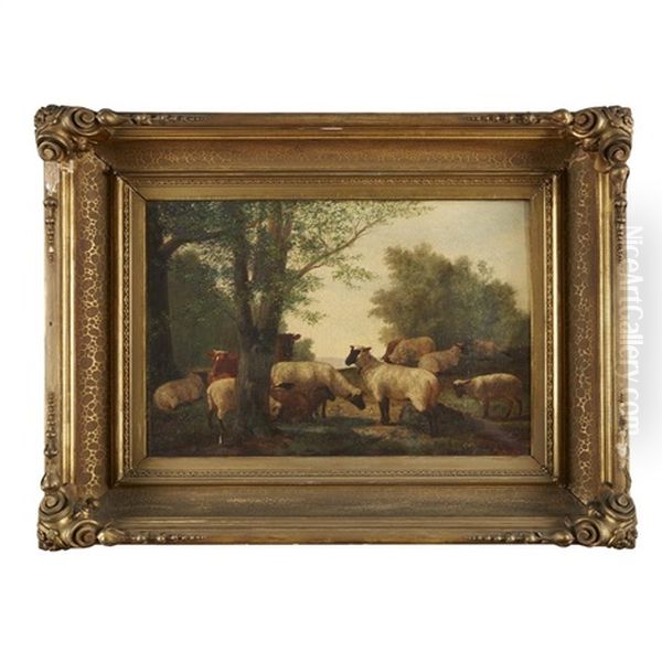 Sheep And Landscape - view 1