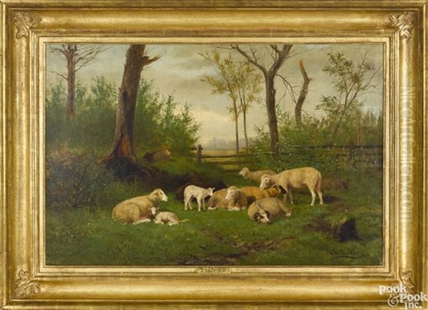 Family Of Sheep Resting - view 1