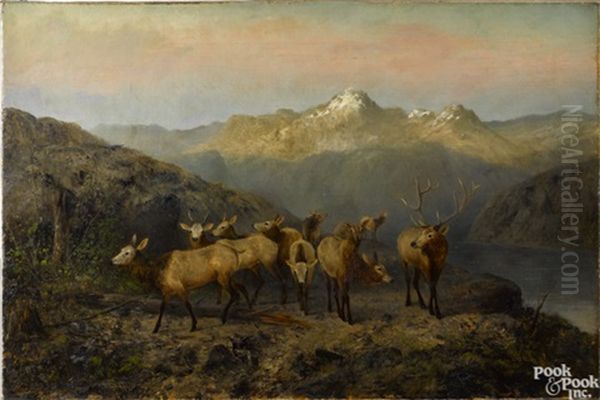 Mountain Landscape With Elk - view 1