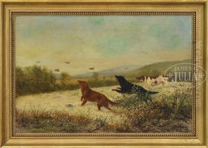 Too-fast 1888 by Newbold Hough Trotter