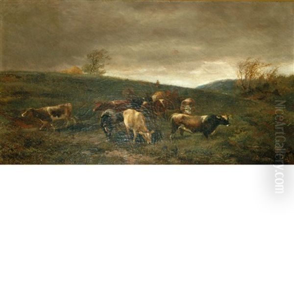 Clearing Off - view 1