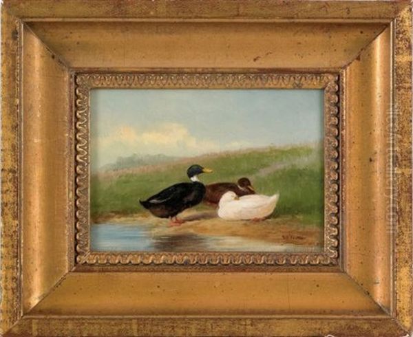 Three Ducks - view 1