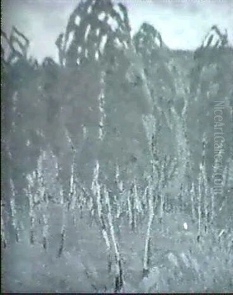 Bjorkdunge - view 1
