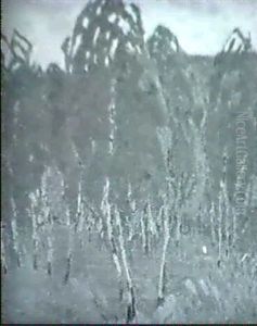 Bjorkdunge Bjorkdunge