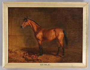 Ruble: Bay Horse