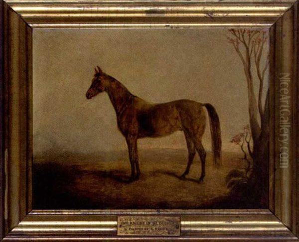 "knight Of St. George" - view 1