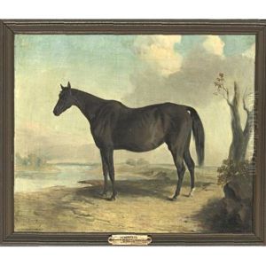 "suzette" by Edward Troye