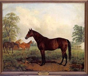 "waverly", By "australian" Out Of "cicily Jopson"