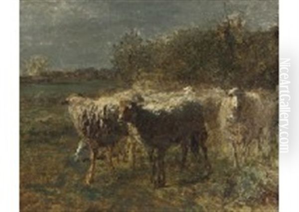 Le Troupeau De Moutons - view 1