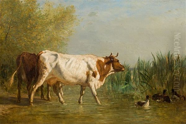 Cows At A Lakeside - view 1