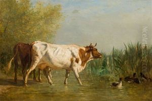Kuhe Am Seeufer by Constant Troyon