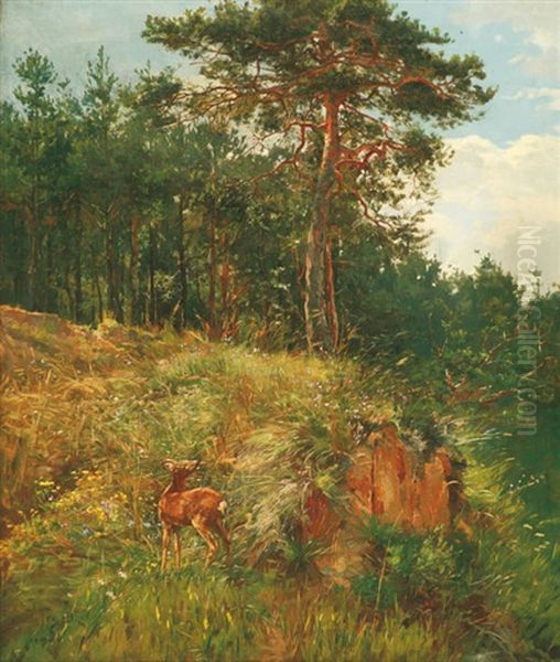 Mood In A Pine Wood - view 1