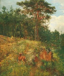 Mood In A Pine Wood