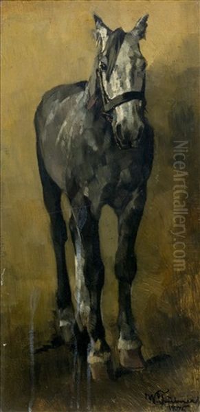 Study Of A Horse - view 1